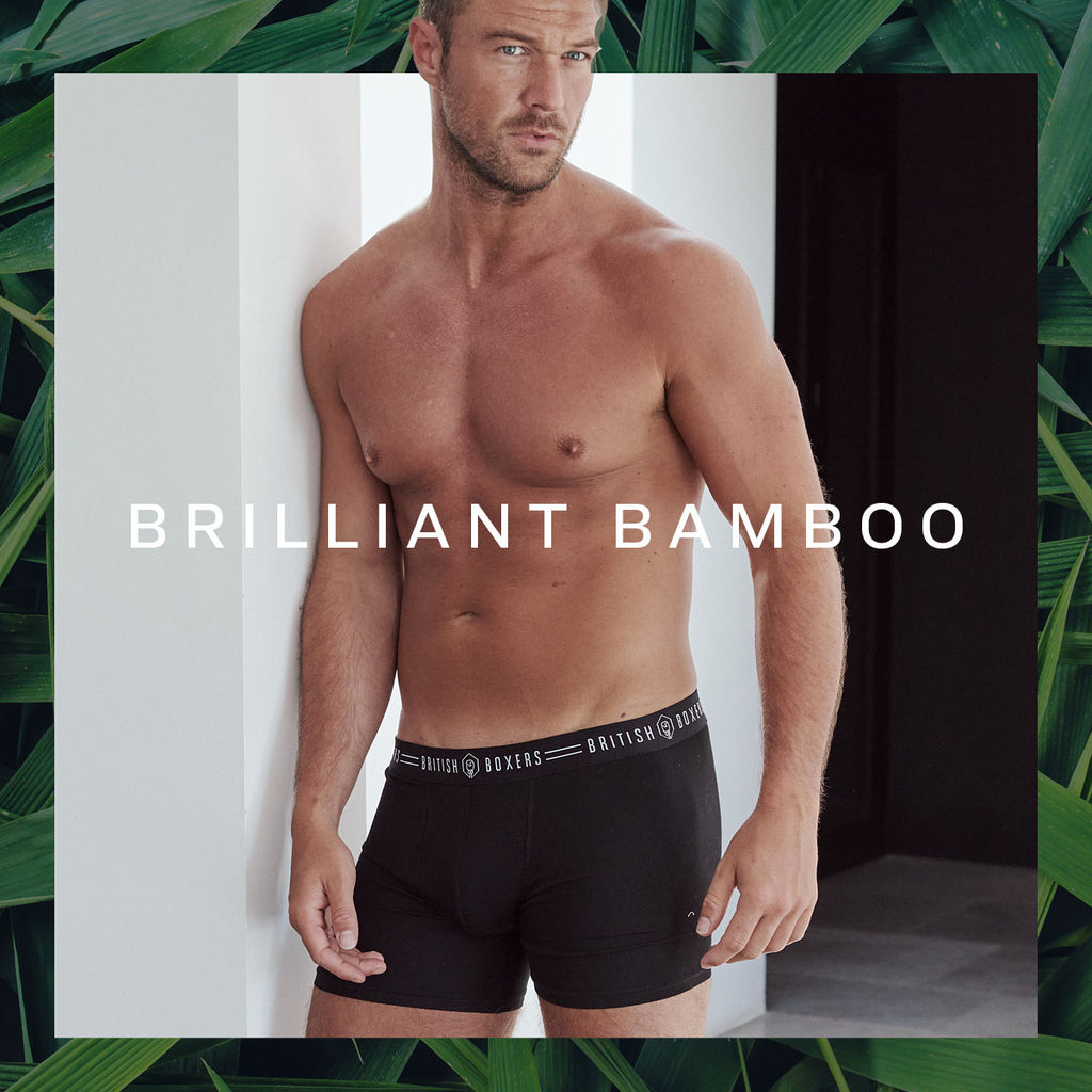 Bamboo is back!