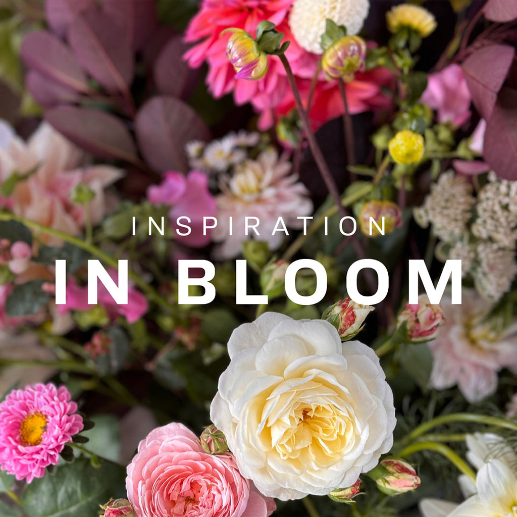 In bloom – walking through a flower farm